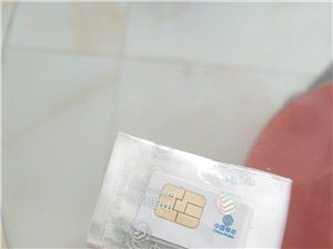 月销29元100g流量不限速无其他消费